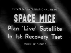 Space Mice: Plan „Live“ Satellite In 1st Recovery Test (1959)