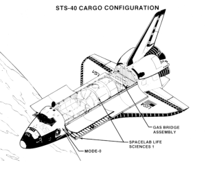 Nutzlastkonfiguration der SLS-1 Mission